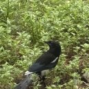 행정사 박연하사무소 이미지