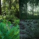 (주)게임어스 이미지