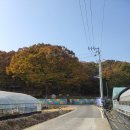 내곡3리 이미지