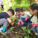 자연관찰 탐구활동 이미지