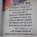 현풍닭칼국수 성서점 이미지