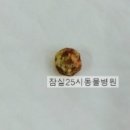 잠실종합동물병원 이미지