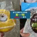 수평 이미지