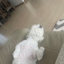 제7회 제주 국제 타악기 페스티벌 | 소소한 제주일상 / 제주여행 제주이야기(24.8.1~24.8.31)
