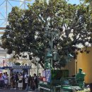 타이어파크 | 미국 * LA 애너하임 디즈니랜드 캘리포니아 파크 이용 후기