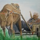 워낭소리 이미지