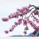 문전성시 - 경주시 | 문전성시