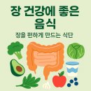 에이치엘바이오 | 장 건강에 좋은 음식 — 편안한 장을 만드는 식습관의 핵심