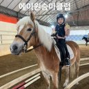 에이원승마클럽