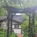 하백의정원 이미지