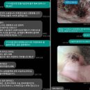 충남동물병원 이미지