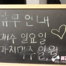 브로우고고