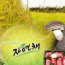 자연채 식품 이미지