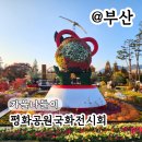 함께 꽃피우는 세상 | 부산 평화공원 국화전시회 가을나들이 실시간 후기