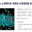 주식회사 메디라인 이미지