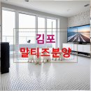 한강켄넬 | 김포 말티즈분양 체험 후기로 확인한 품질 중심 선택법