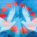 평화약방 이미지