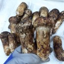 보광약업사 이미지