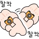 맘스터치전주효천점 이미지