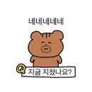 희망에너지 | [웨딩밴드투어 희망편]💍 평생 함께할 웨딩밴드, 결국 ‘아크레도(acredo)’에서 찾은 후기 ✨