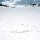 하이얀목장 이미지