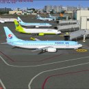 대한항공 B737-800 RKPC(제주)-RKPU(울산) 이미지