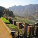 얼음골이야기 이미지