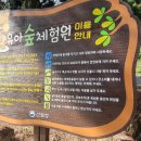 솔솔솔 다람쥐숲 유아숲체험원 이미지