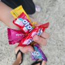 천수만꽃게장 서산직영점 충남태안 게국지 맛집 식당