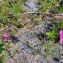 인보목장 이미지