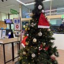 크리스마스 트리 이미지