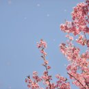 배화학교 이미지