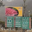 복수 한우음식특화거리 이미지