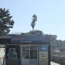 제주 스탠다드 이미지