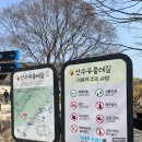 이천주막 | 아기랑 꽃 나들이 가볼만한 곳 추천 이천 산수유 축제 후기