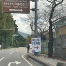 (주)시시아이 | 경남 고성공룡엑스포 아이와 평일 관람 후기 맛집정보