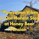 허니베어펜션 이미지