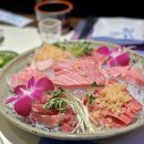 야나기참치 이미지