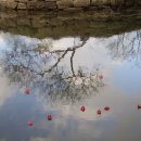 한국문학기행 이미지