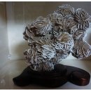 차부식당 이미지