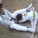 수호태권스쿨 이미지