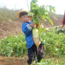 은지어린이집 이미지