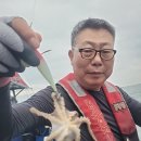 쭈꾸미 이미지