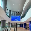 마곡 코엑스 하이브 아트페어(HIVE ART FAIR) 관람 후기