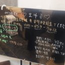 타르트곰 이미지