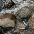 자레와 민박 이미지