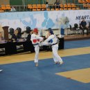 화정태권도 이미지