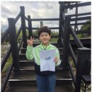 천마태권도장 이미지