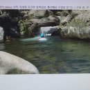 - 지난 여름, 홍천군 내면 통마람골(백두대간 약수산(1,306m)과 구룡령 아래)에서 무더위를 즐기는 J군 동영상과 그림들 몇 컷! 이미지