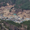 06.운동장삼거리 Daum카페